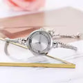 Montre Acier Inoxydable serti de zircon